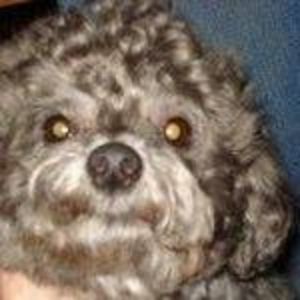 Meet your Posher, Nance